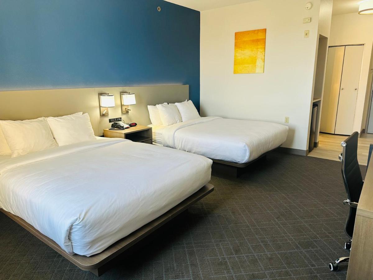 Comfort Inn & Suites Wylie Buitenkant foto