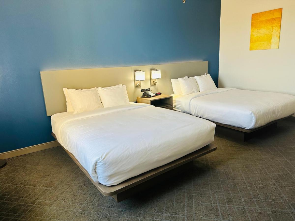 Comfort Inn & Suites Wylie Buitenkant foto